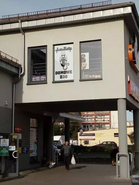witryna sklepu i okno z reklamą